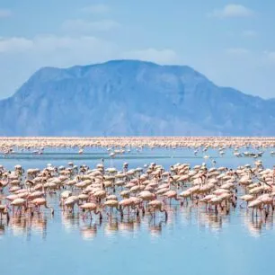 Lake Natron