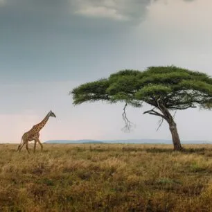 Serengeti National Park
