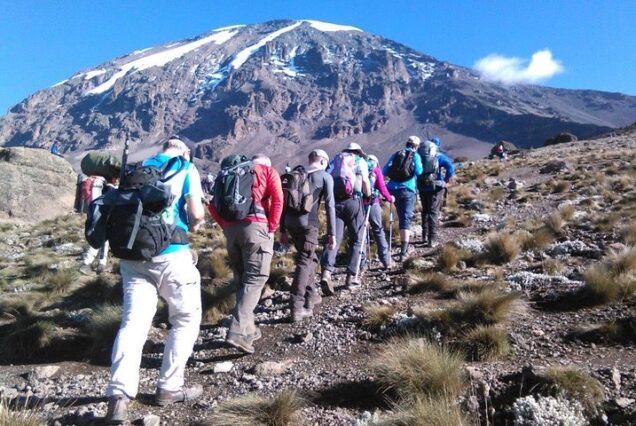 8 Days Kilimanjaro Lemosho route