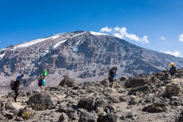 7-Day Lemosho route Mount Kilimanjaro Trekking