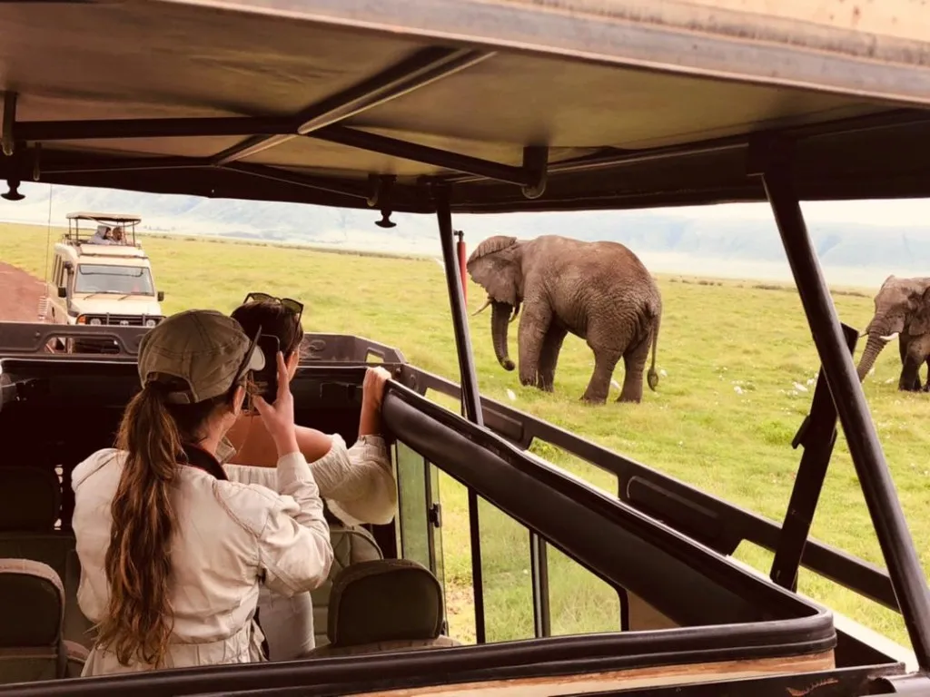 Budget Private Safari
