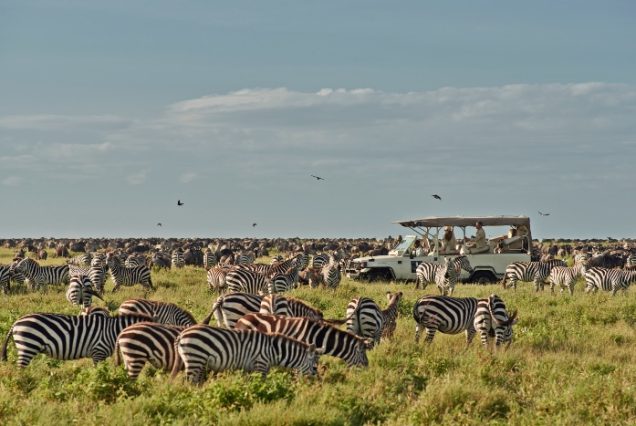 7 Days 6 Nights Tanzania Private Budget Safari