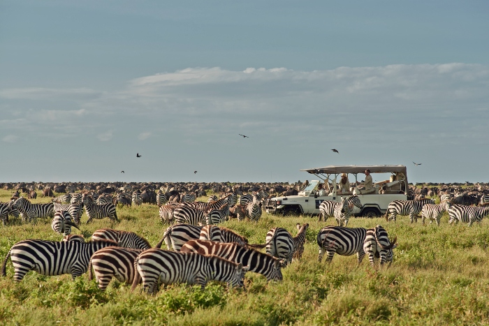 7 Days Private Budget Safari – 7 Days 6 Nights Tanzania Private Budget Safari