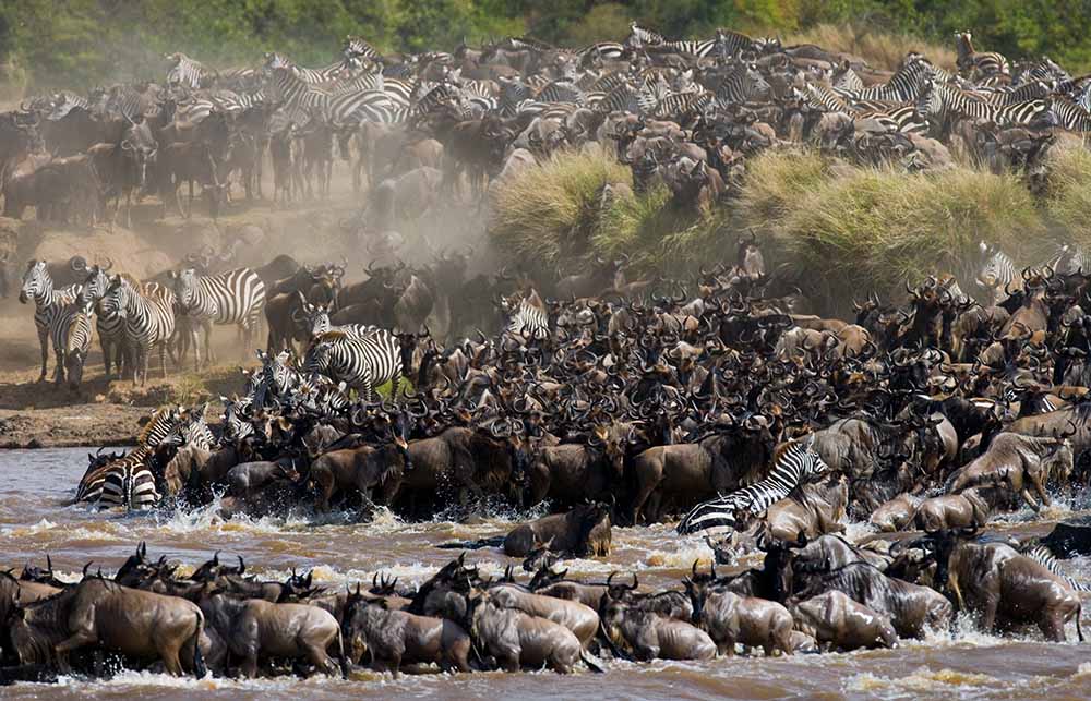9 Day Private Camping Safari – Iconic 9-Day Private Camping experience in the captivating Western Serengeti