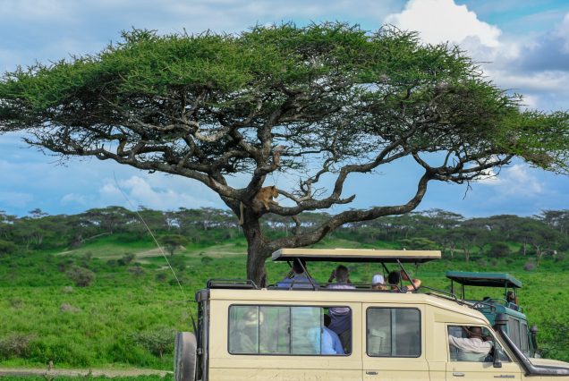 Extraordinary 9-Day Midrange Tanzania safari adventure