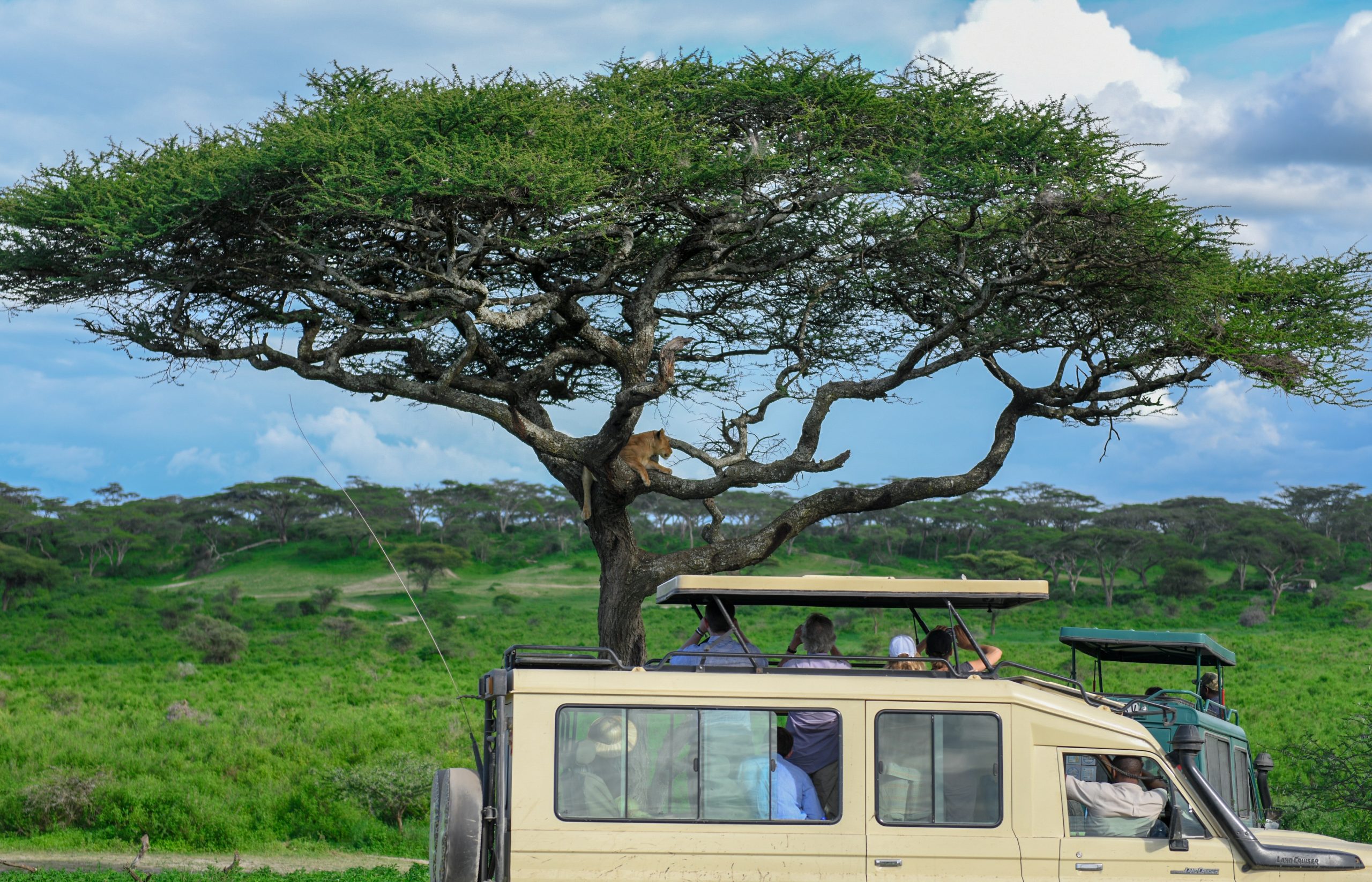9 Day Mid-Range Tanzania Safari – Extraordinary 9-Day Midrange Tanzania safari adventure