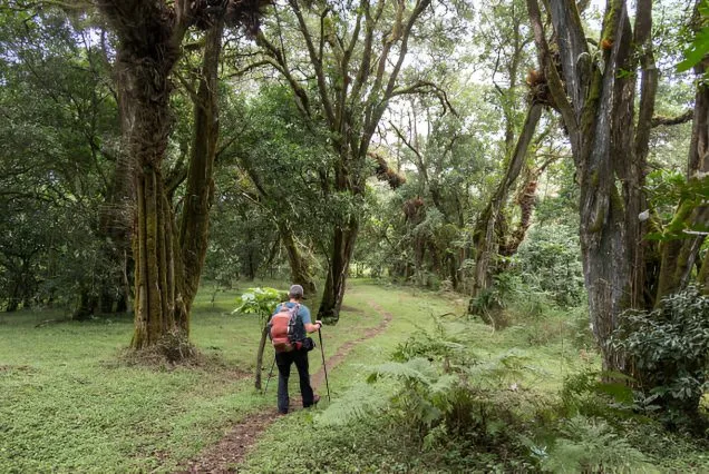 mount meru trekking