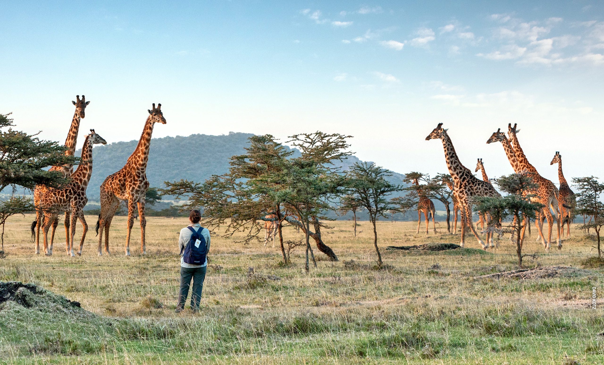 Day Trips Safari