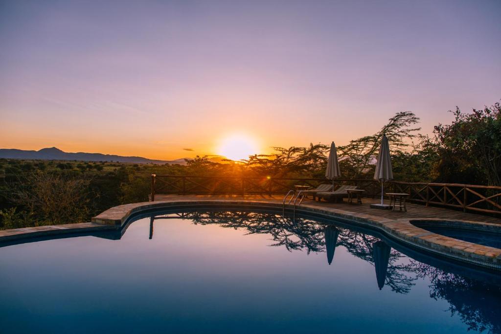 6 Day Luxury Tanzania Safari – 6-Day Luxury Highlights of Tanzania Safari