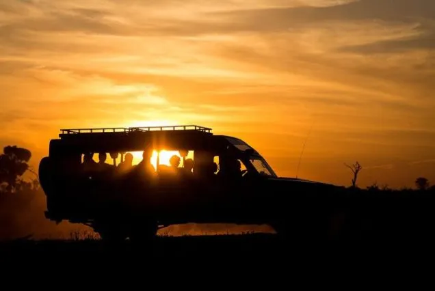 8-Day Tour Tarangire, Serengeti, Ngorongoro, & Manyara Night Game