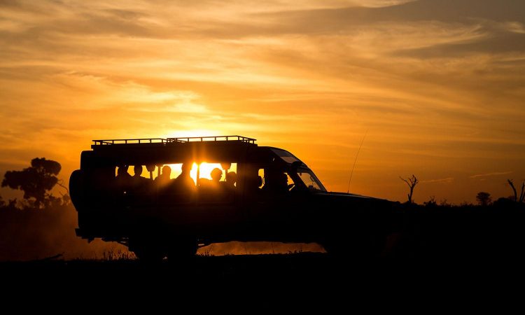 8 Day Safari with Night Game Drive – 8-Day Tour Tarangire, Serengeti, Ngorongoro, & Manyara Night Game