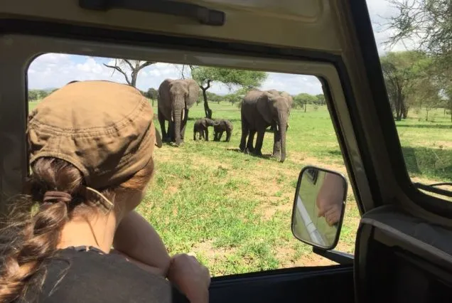 7-Day Luxury Safari Escape to Serengeti, Ngorongoro, Tarangire & Manyara.