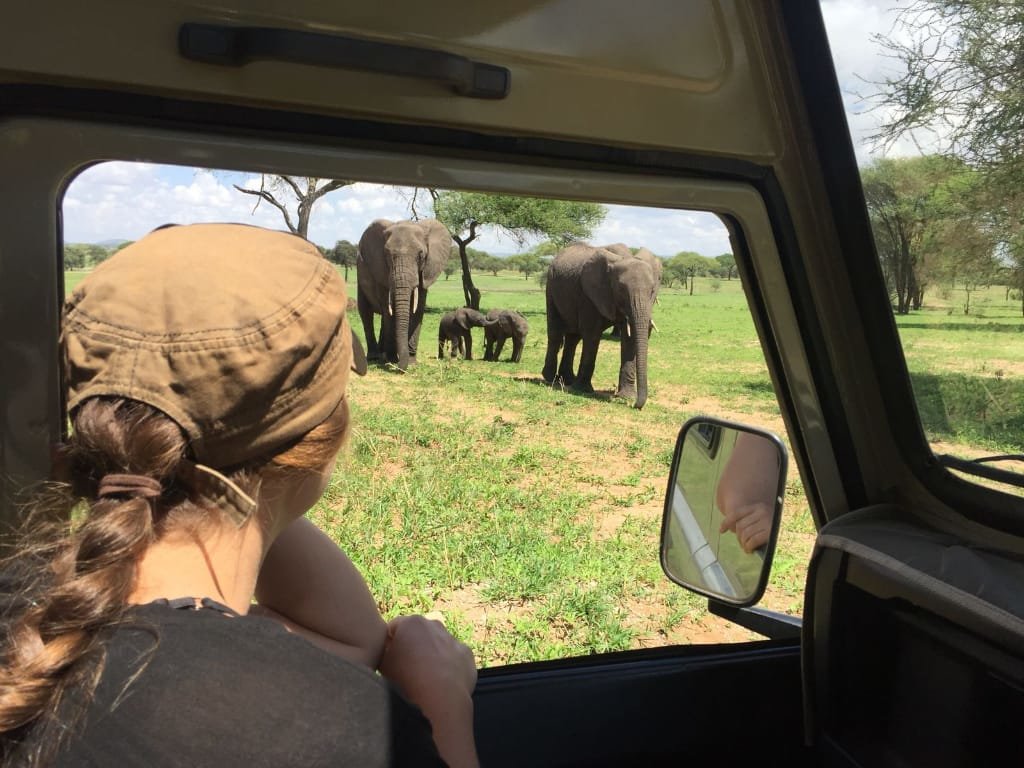 7 Day Luxury Safari – 7-Day Luxury Safari Escape to Serengeti, Ngorongoro, Tarangire & Manyara.