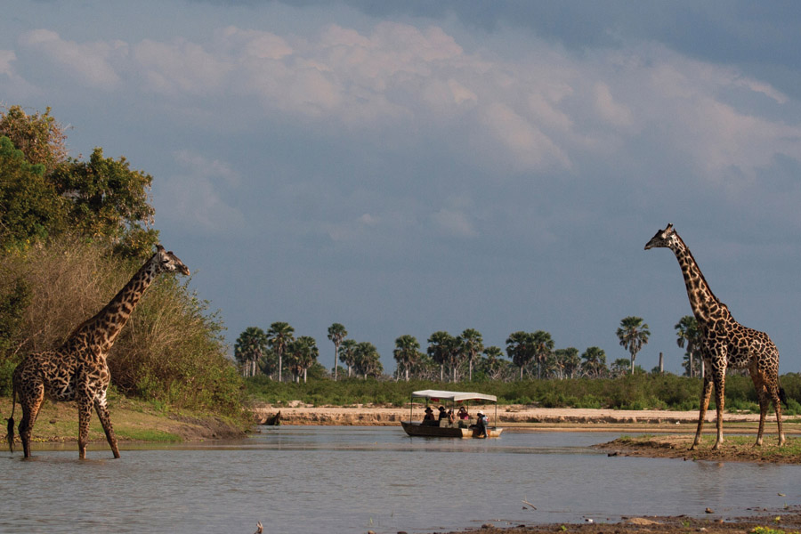 8 Day Southern Tanzania Safari – 8-Day Southern Tanzania Safari: Nyerere, Mikumi & Ruaha