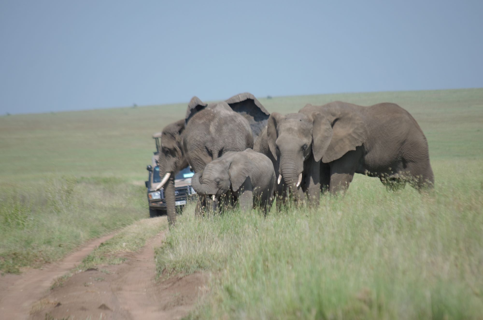 5 Day Mid-Range Safari – 5-Day Northern Highlights Safari: Mid-Range Adventure