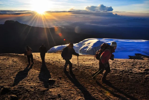 7-Day Kilimanjaro Marangu Trek and Serengeti-Ngorongoro-Tarangire Safari Experience