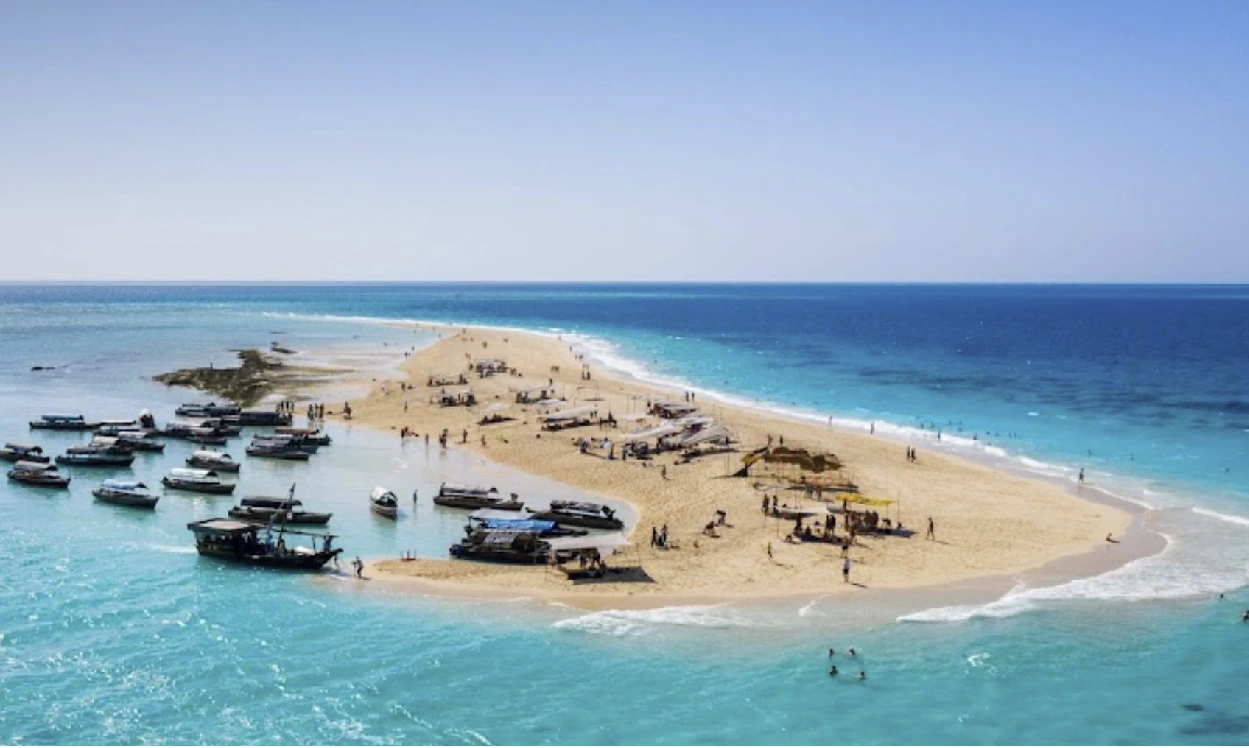 9 Day Zanzibar and Safari Tour – 9-Day Exploration of Zanzibar's Island Beauty and Tanzania Safari Wonders