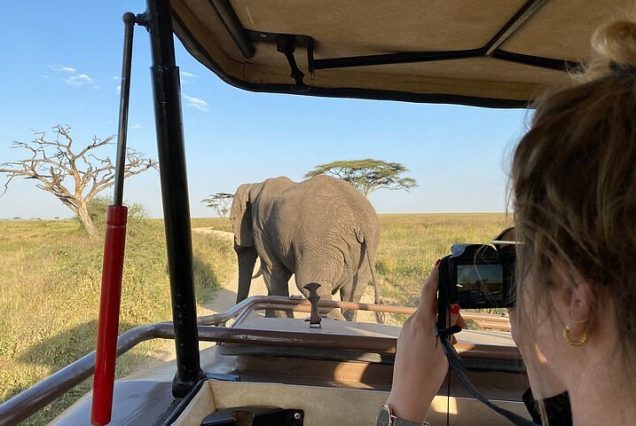 4 Days Luxury Wilderness Safari