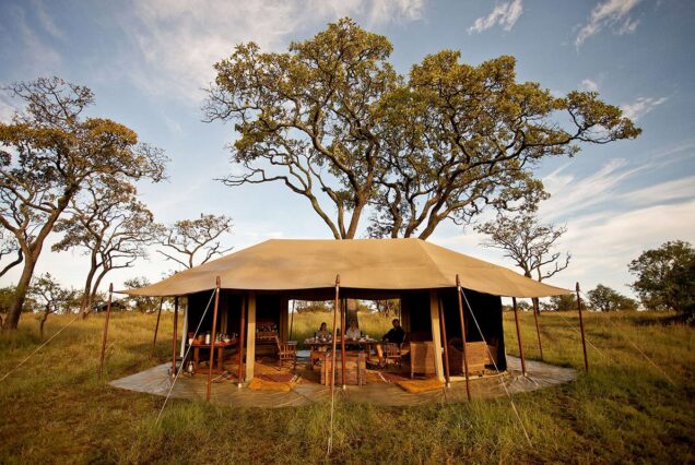 8 Days Mid-Range Witnessing the Great  Migration & River Crossings