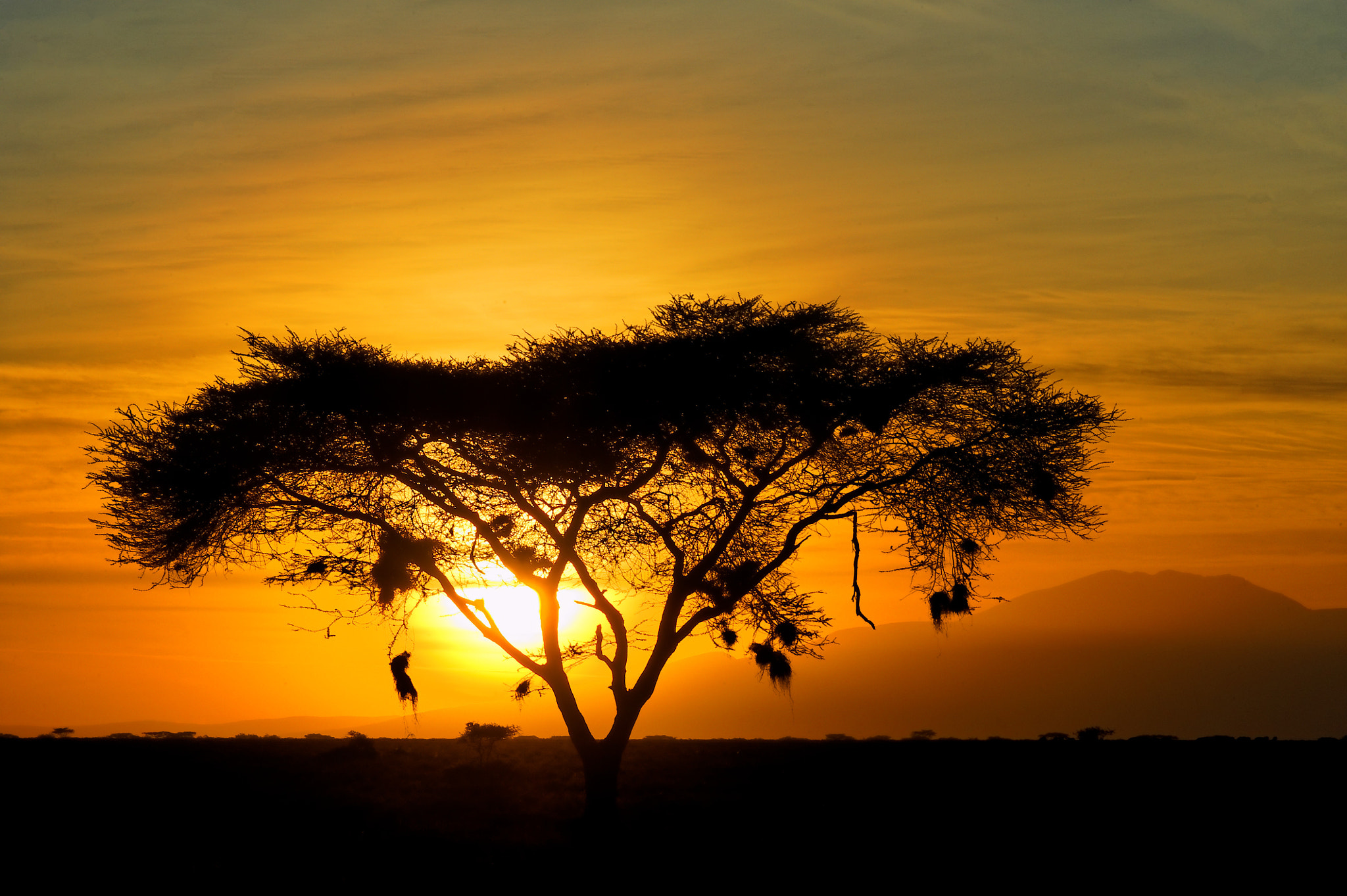 4 Day Mid-Range Safari – 4 Day Northern Tanzania Mid-Range Safari