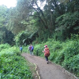 Rau Forest Nature Walk