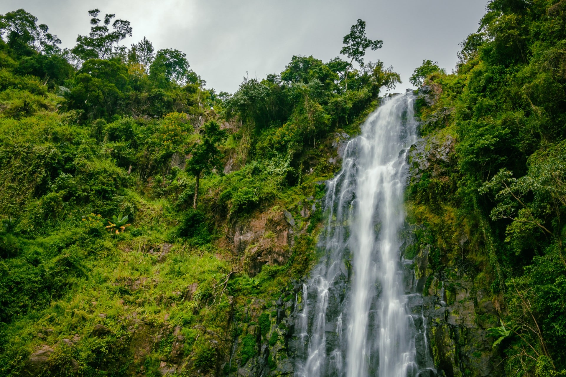 Materuni Waterfalls and Coffee Tour – Materuni Waterfalls & Coffee Tour