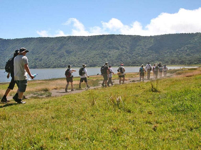 Tanzania hiking tours – walking group on the Ngorongoro highlands