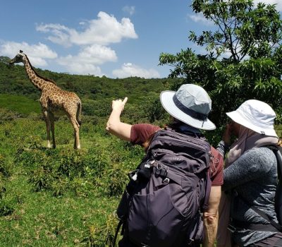 666ad36256ab1309818a4f9d_Arusha Walking Safari 2