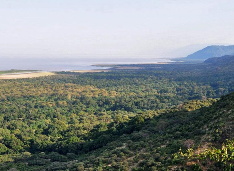 lake-manyara-national-park forest