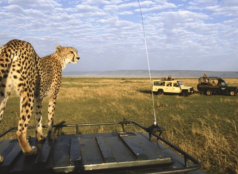 masai-mara-game-reserve