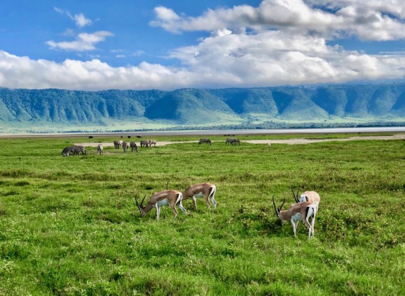 ngorongoro2