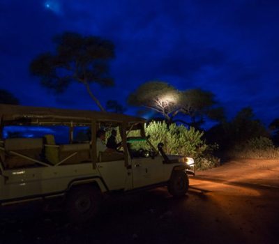 tanzania-night-game-img-gal3
