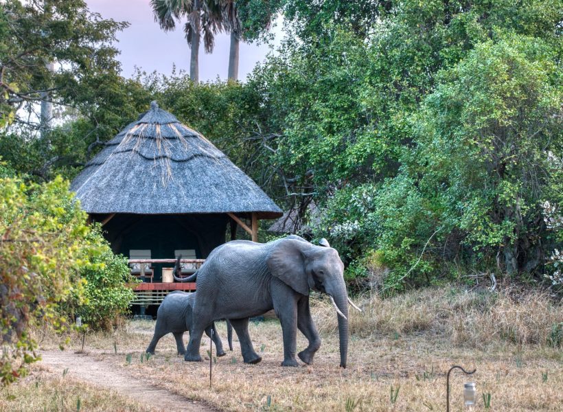 where-to-stay-in-katavi-national-park